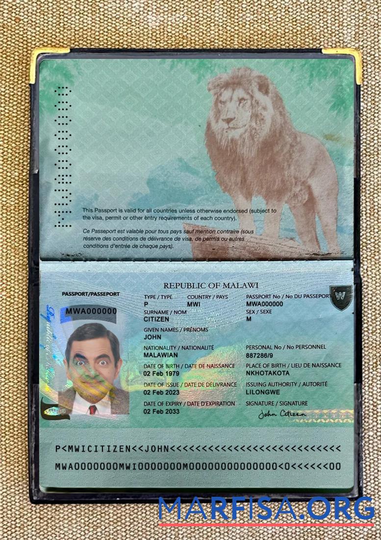 Printable Malawi passport 2023 present photolook real example